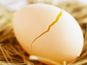 Ăn trứng và nguy cơ mắc tiểu đường type 2